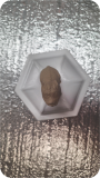 PROTOTYPE Oval Office Ceramics841